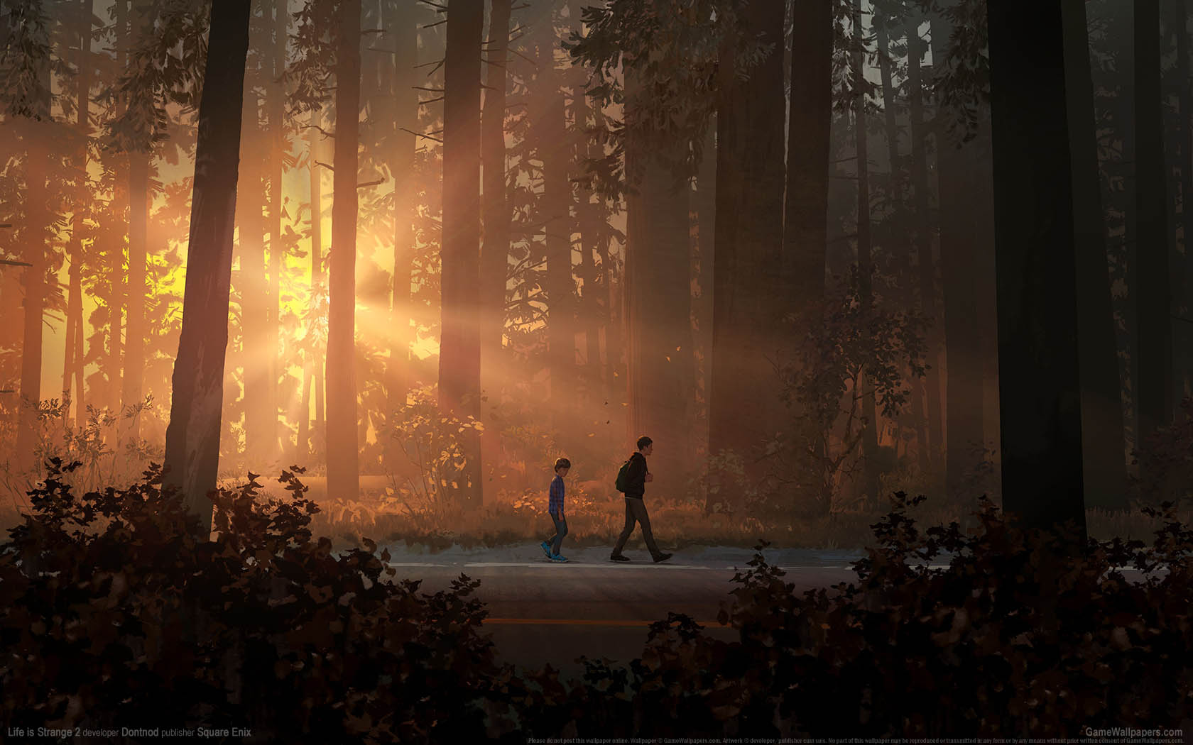 Life is Strange 2 achtergrond 01 1680x1050