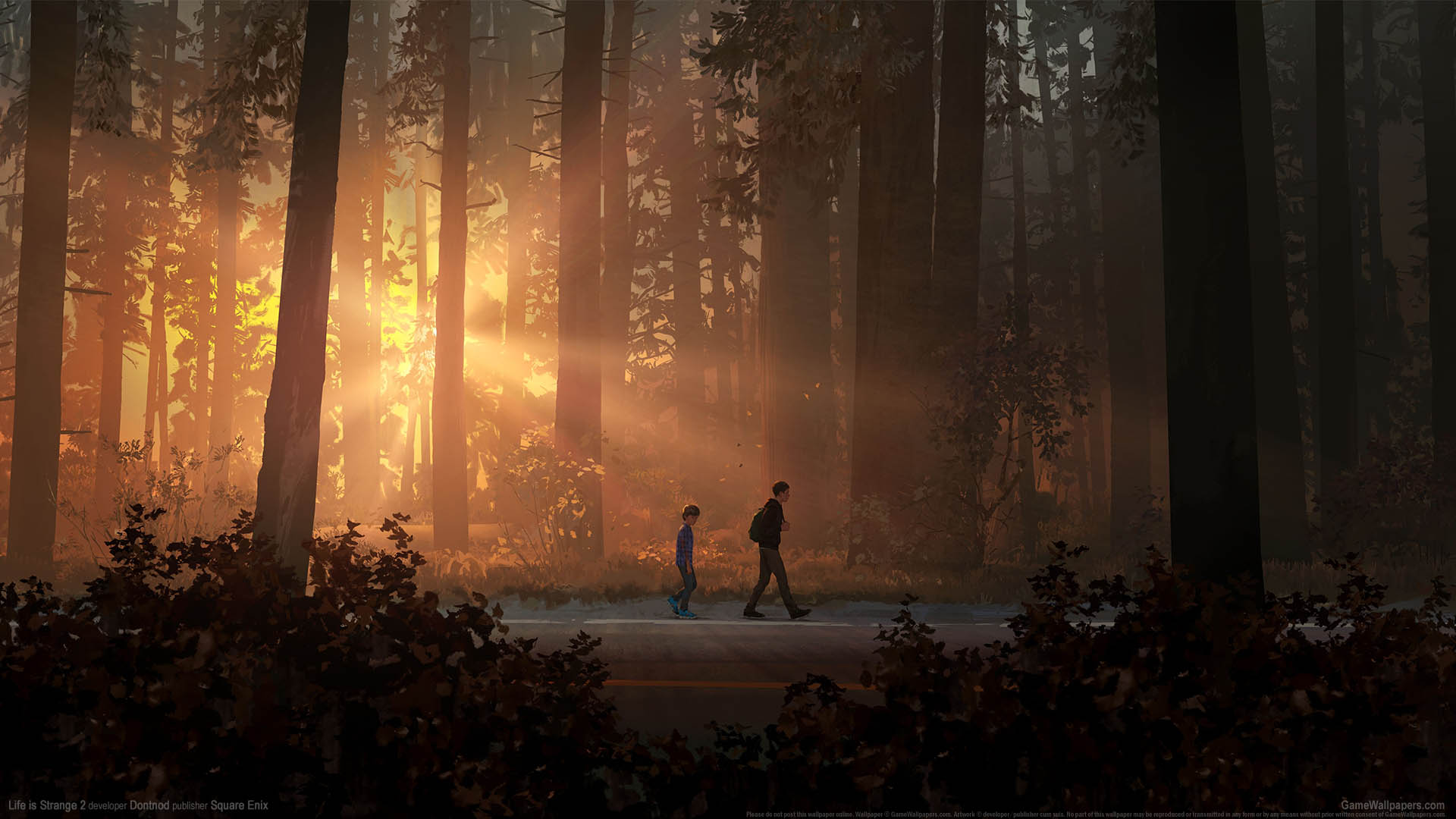 Life is Strange 2 fond d'cran 01 1920x1080