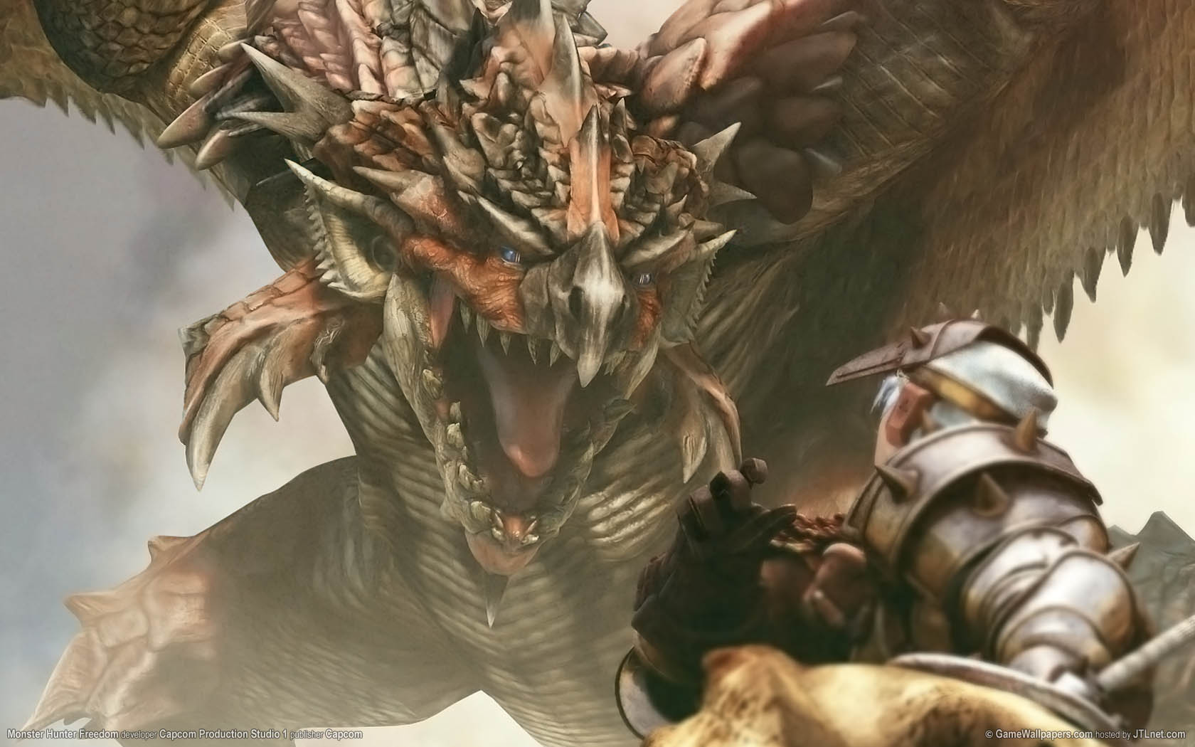 Monster Hunter Freedom fond d'cran 01 1680x1050