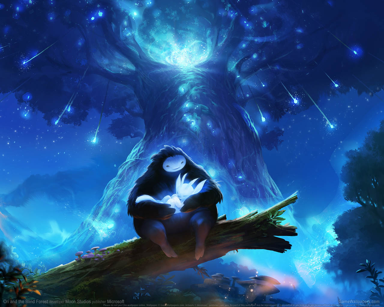 Ori and the Blind Forest fondo de escritorio 01 1280x1024