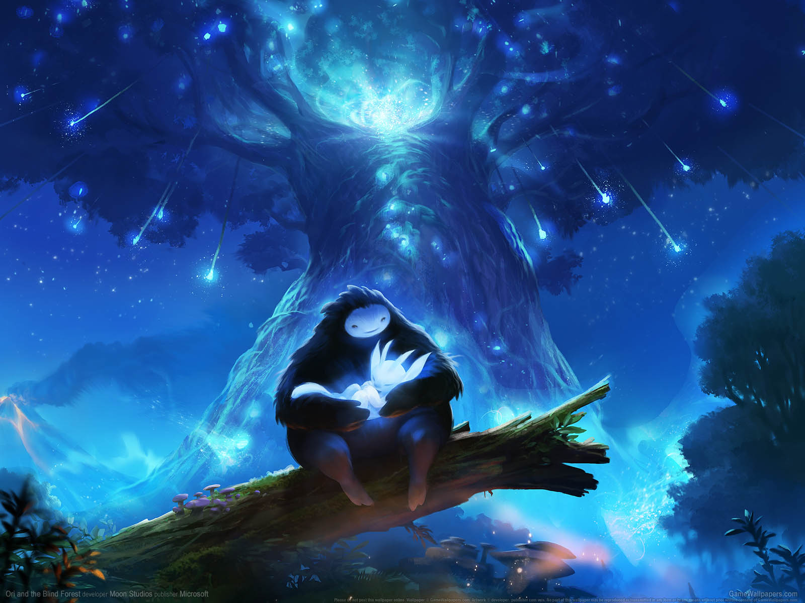 Ori and the Blind Forest fondo de escritorio 01 1600x1200