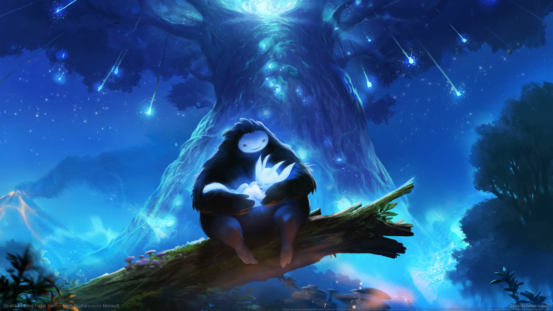 Ori and the Blind Forest fond d'cran 01 1920x1080