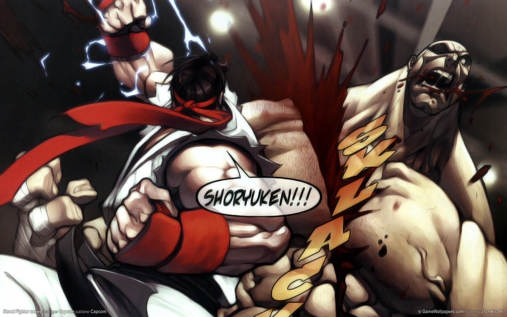 Street Fighter series fond d'cran 03 1680x1050