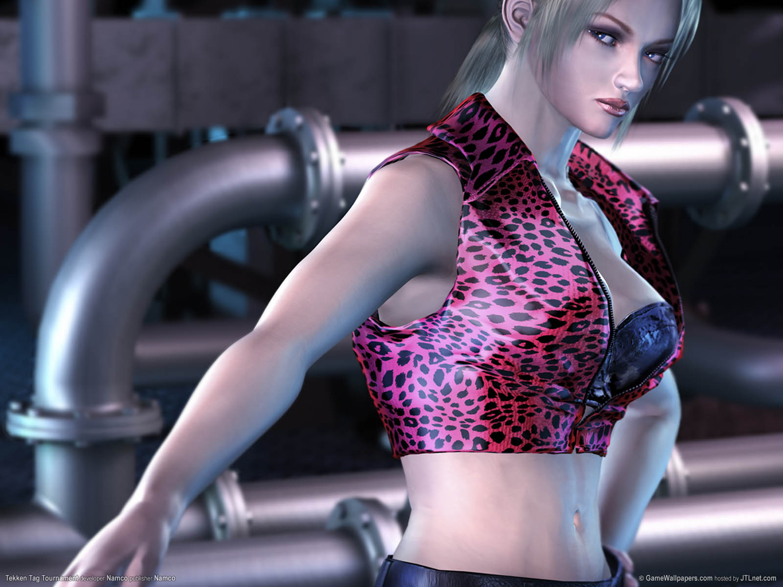 Tekken Tag Tournament achtergrond 07 1600x1200