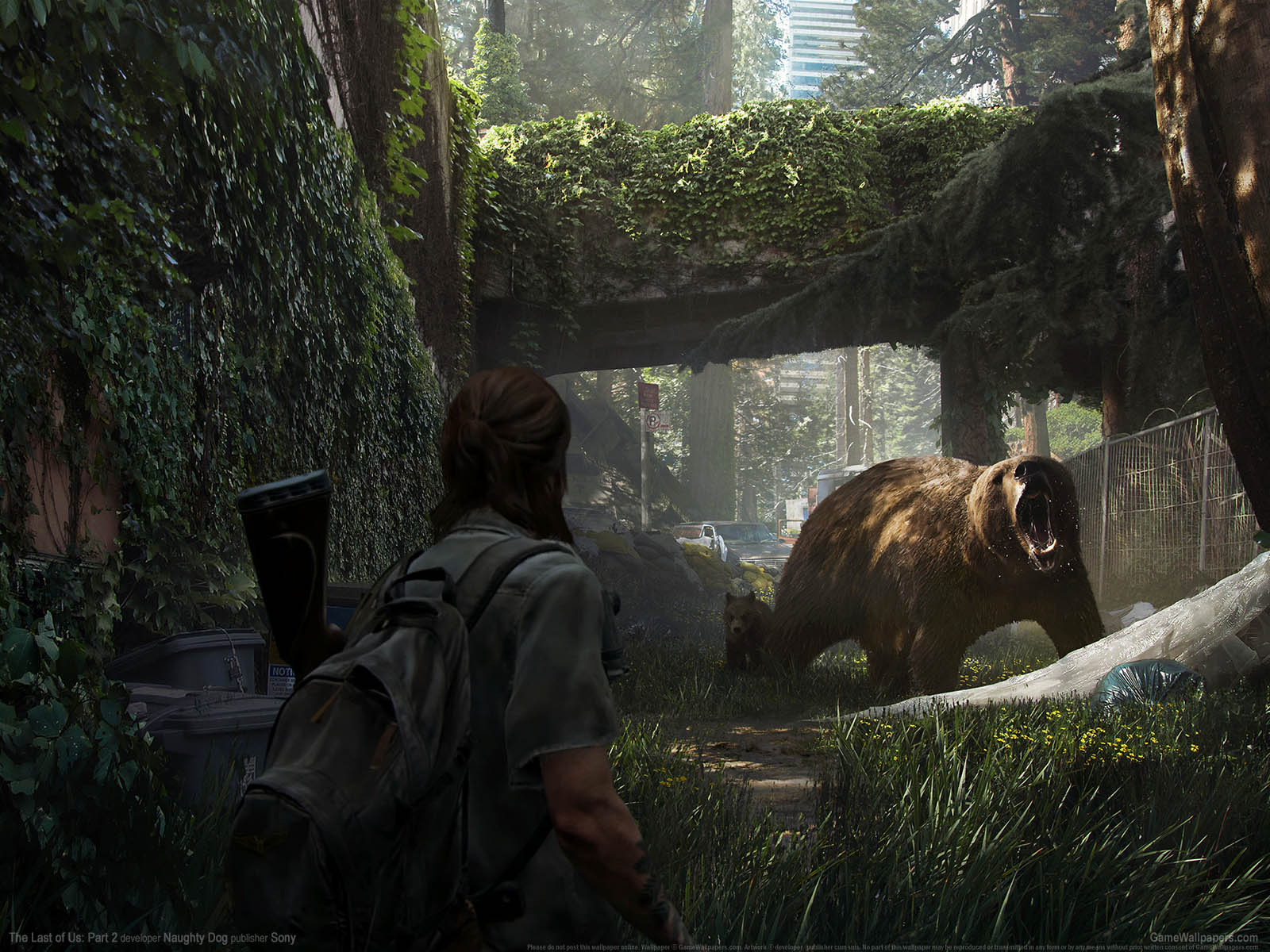 The Last of Us%253A Part 2 achtergrond 11 1600x1200